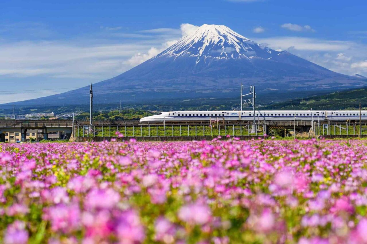 https://www.iberoamericaviaggi.it/wp-content/uploads/2018/09/tour-osaka-04-1280x854.jpg